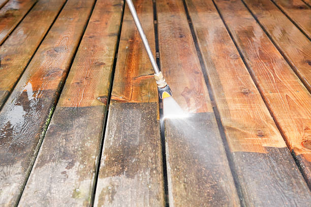 Animal Enclosure Cleaning in Lake Butler, FL